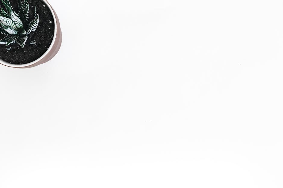 Growth and Sustainability